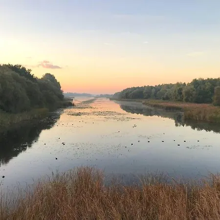 Omega Бадачоньтомай