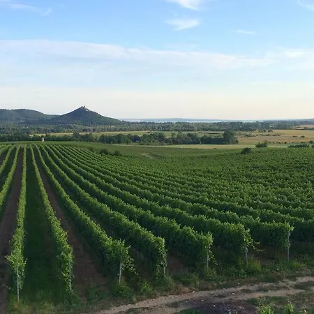 Omega בית נופש