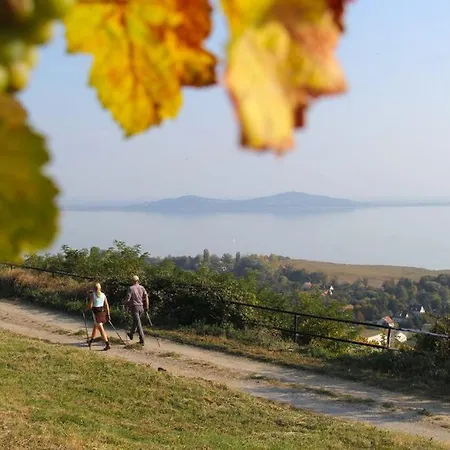 Omega בית נופש *