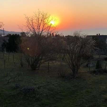 Omega * בדקסוניטומאי