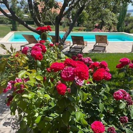 Omega Дом отдыха