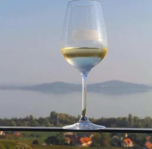 Omega * Badacsonytomaj