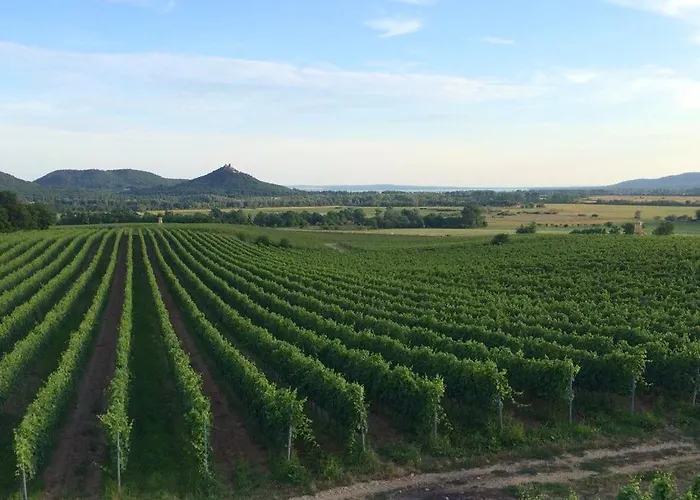 Omega Σπίτι διακοπών