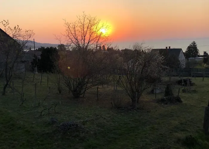 Omega * Badacsonytomaj